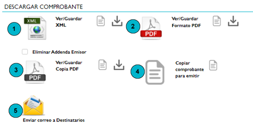 Emisión_Operación_Pagos_ConsultarDetalleVista